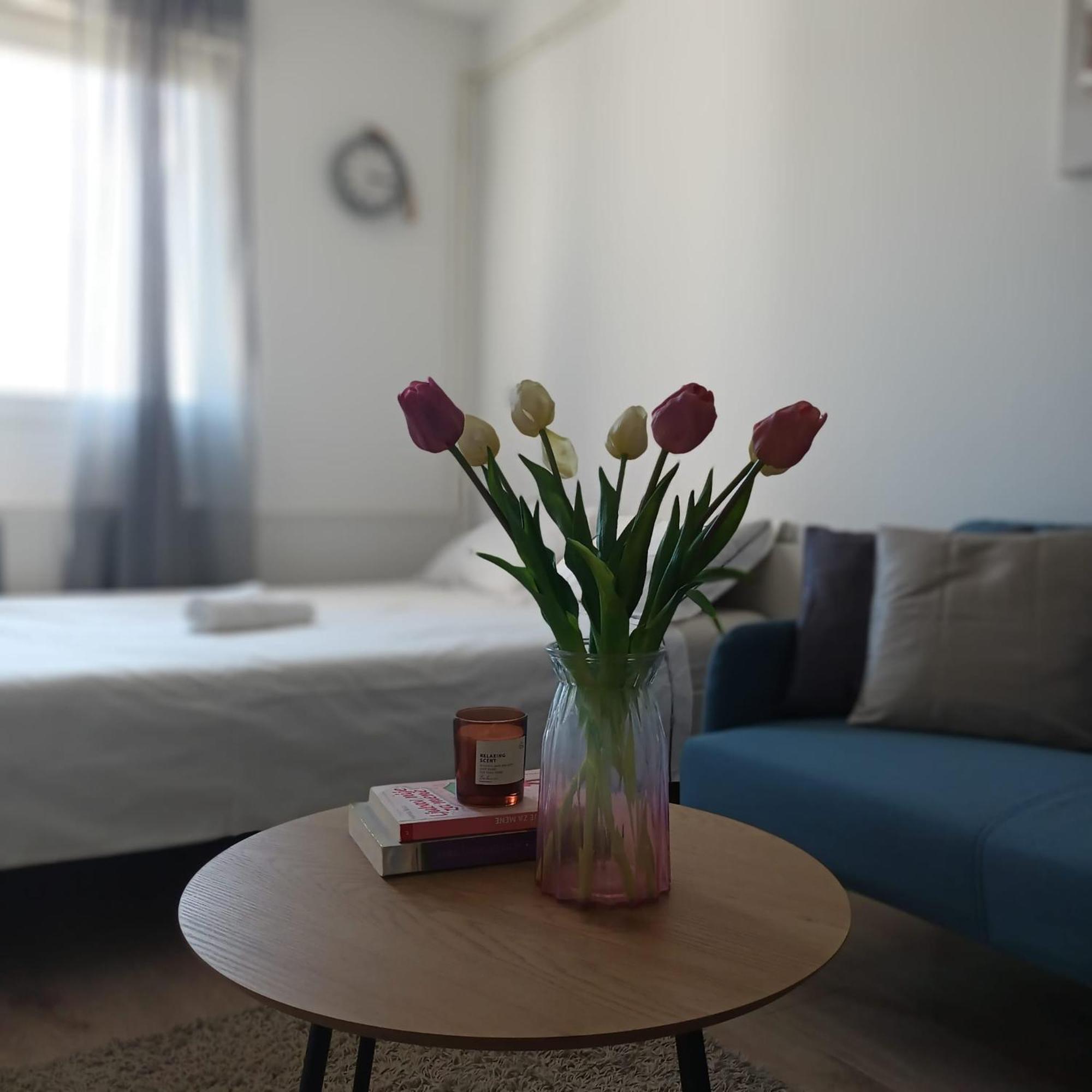 Modern Studio Near City Center Zagreb Eksteriør bilde